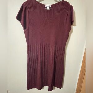 Jones Studio sweater dress 2x